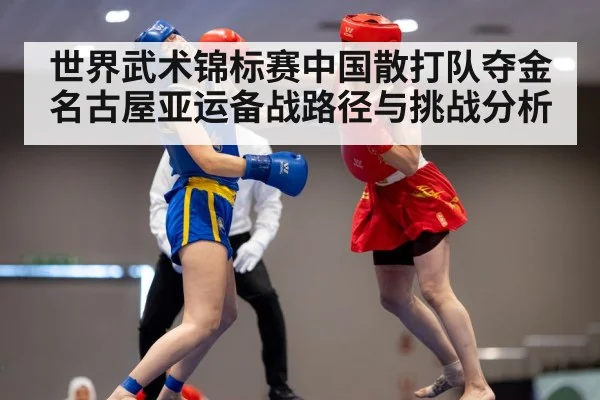 世界武术锦标赛中国散打队夺金名古屋亚运备战路径与挑战分析 | kaiyun sports